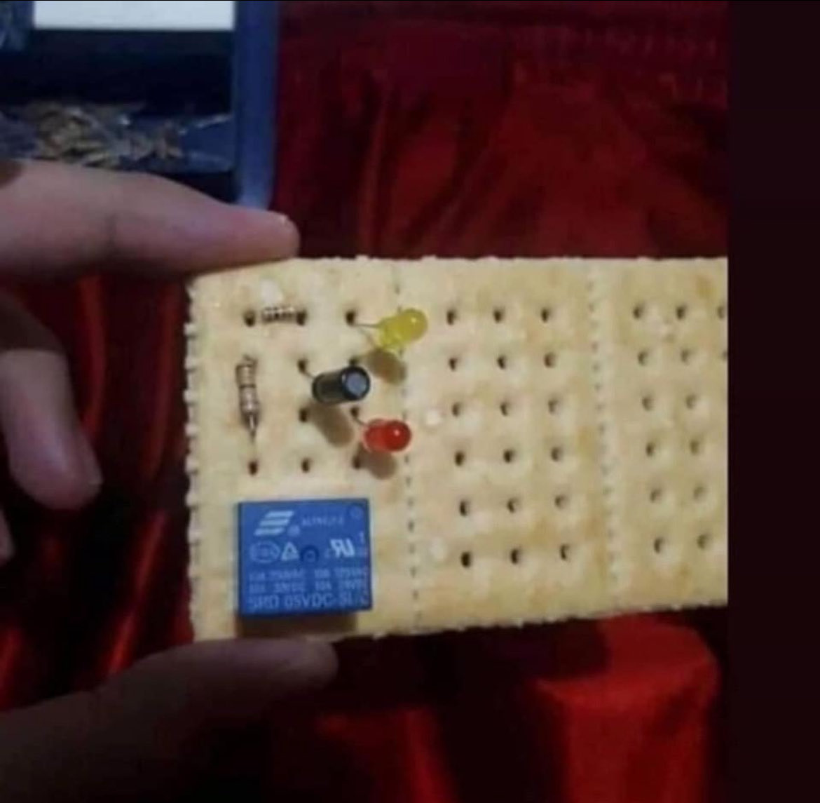 funny image